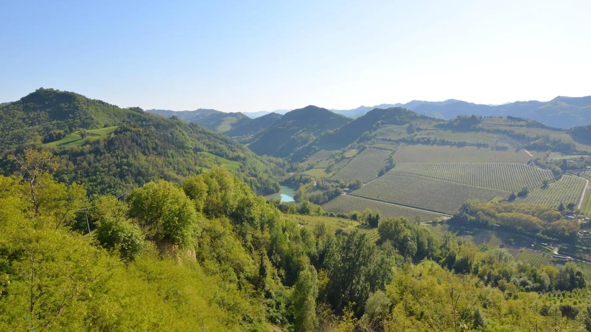 Apartment In Quiet And Green Environment With Swimming Pool Modigliana