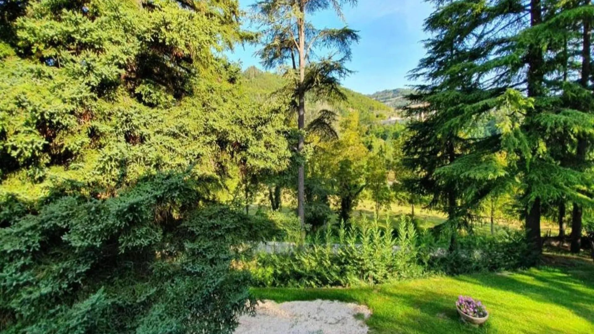 Apartment In Quiet And Green Environment With Swimming Pool Modigliana